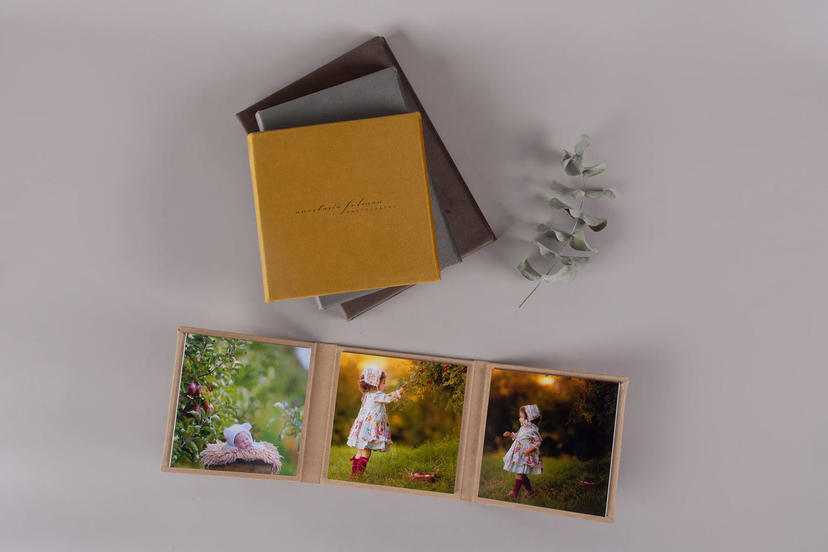-fold nphoto upselling products for children and portrait photographers sand dune beige dijon yellow silver grey velvet